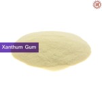 Xanthum Gum small-image